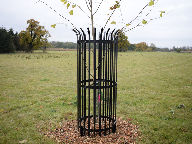 XL Tree Guard for Deer