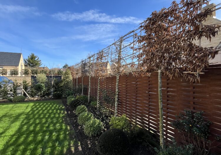Woven steel fencing with planting