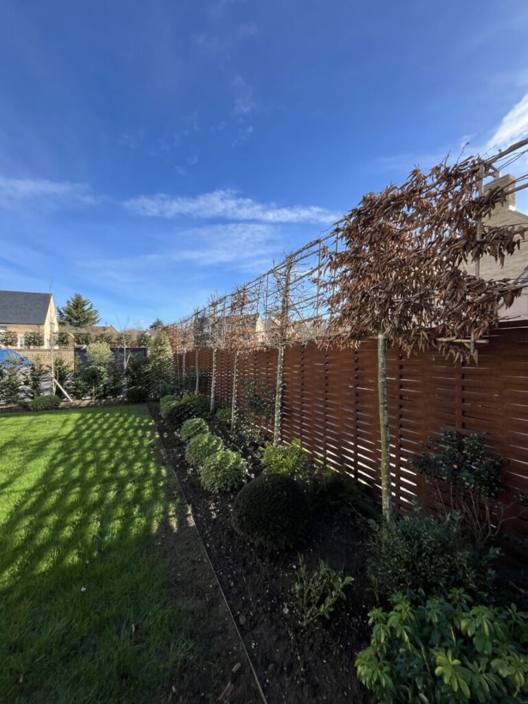Woven steel fencing with planting