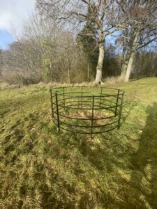 Circular 5 bar steel tree guards fence