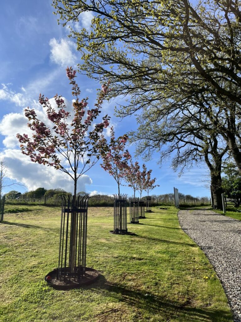Medium Tree guard